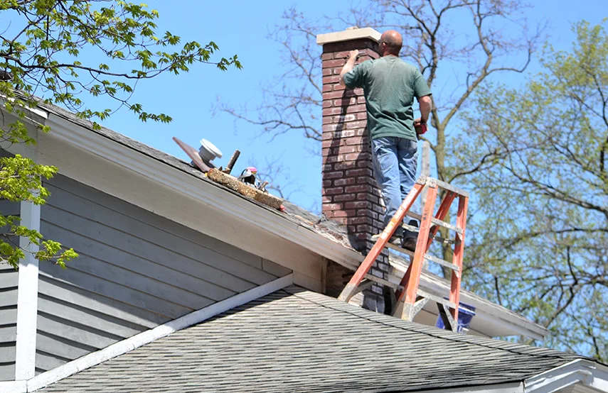 Chimney & Fireplace Inspections Services in Cahokia, IL